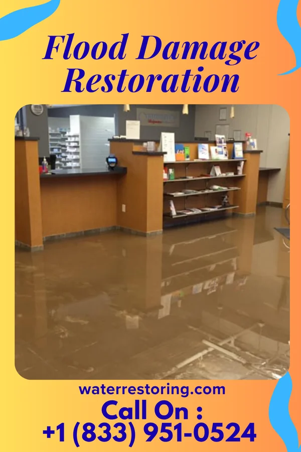 Flood Damage Restoration in Monticello, IL