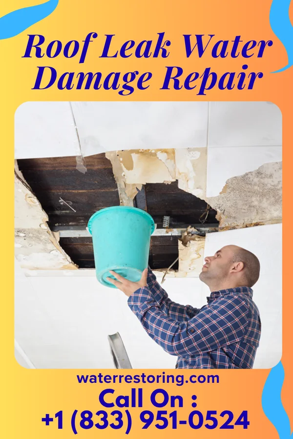 Roof Leak Water Damage Repair in Monticello, IL