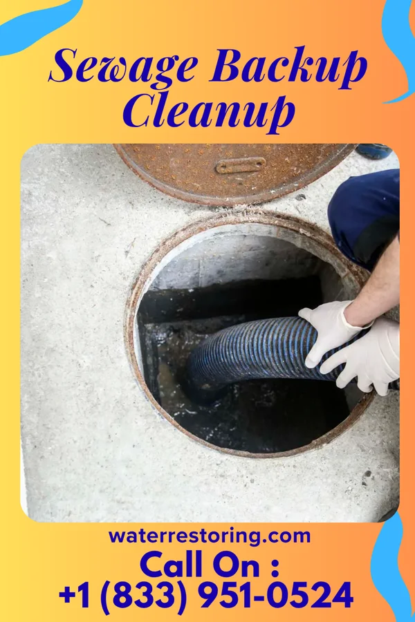 Sewage Backup Cleanup in Monticello, IL