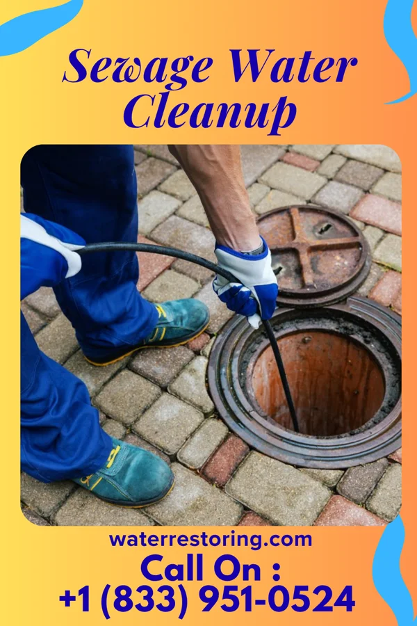 Sewage Water Cleanup in Monticello, IL